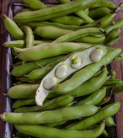 fava beans substitute