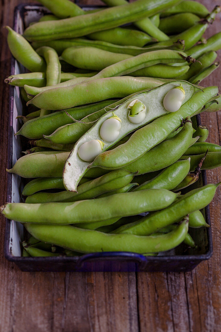 fava beans substitute